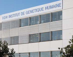 L'Institut de Génétique Humaine à Montpellier